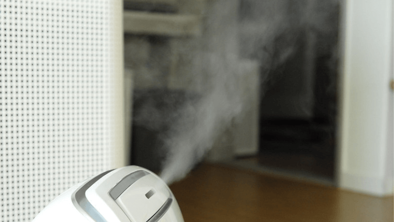 Humidifier Vs Diffuser: See the Differences