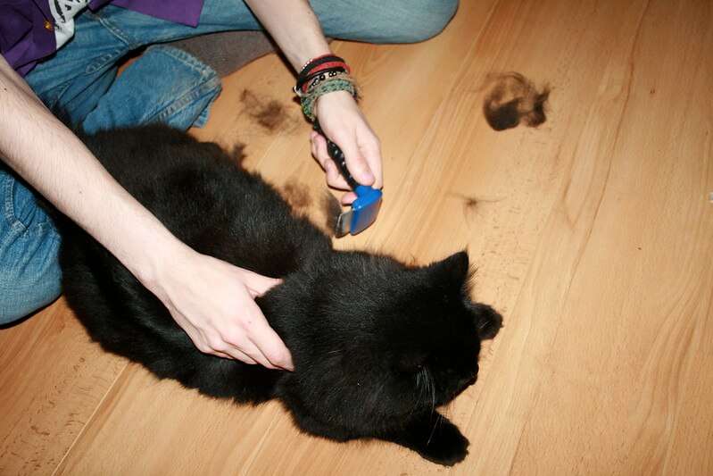 furminator