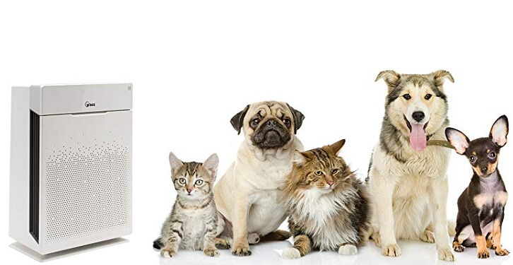 pet-air-purifier