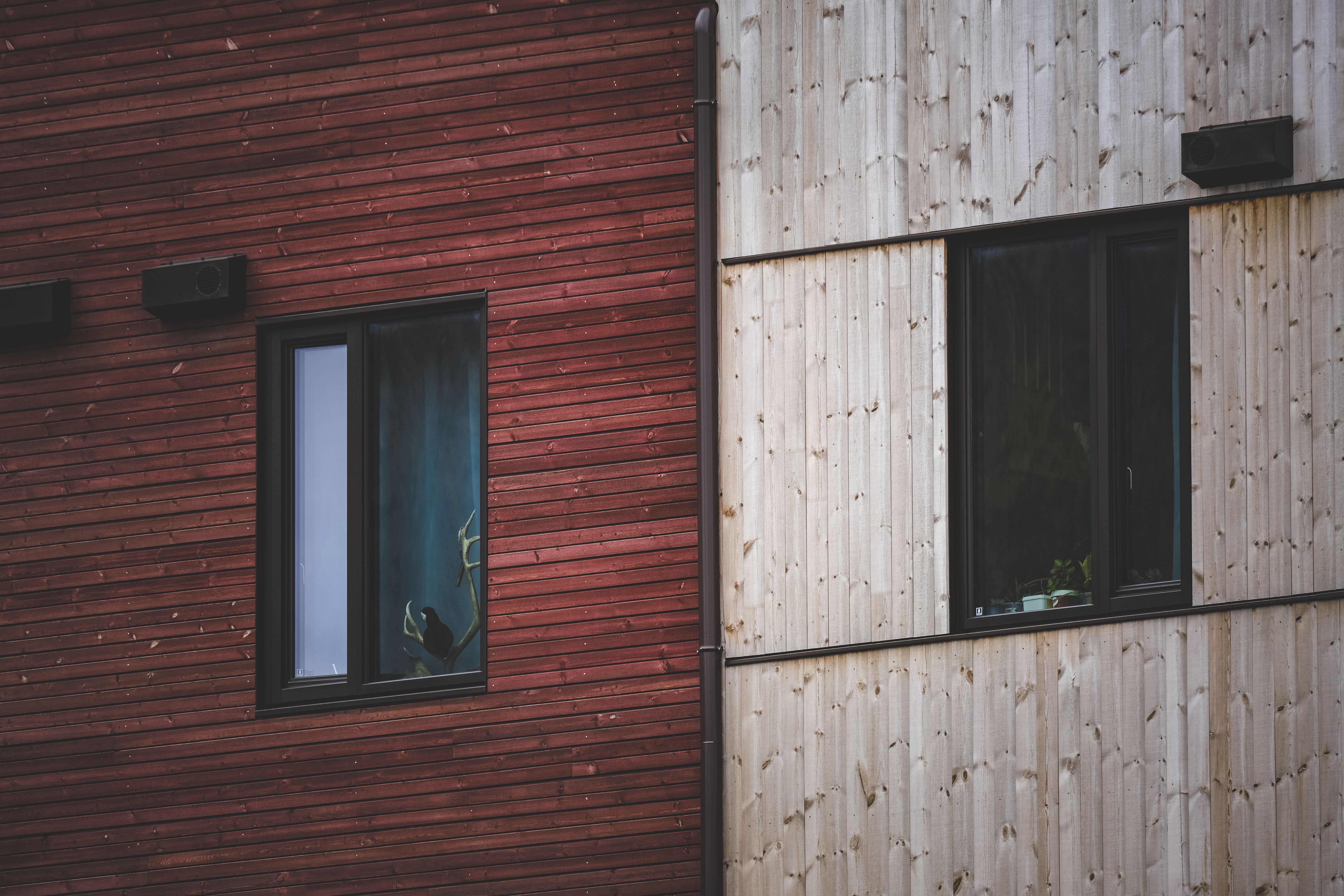 Close-up of a red and beige wooden cladding facade with modern windows